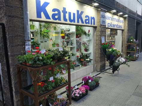 katutan.com|Kantotin .